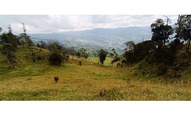 Vendo Finca San Raimundo