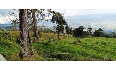 Vendo Finca San Raimundo