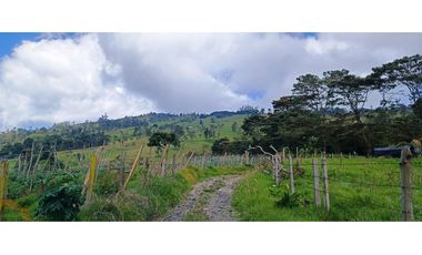Vendo Finca San Raimundo