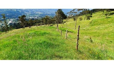 Vendo Finca San Raimundo