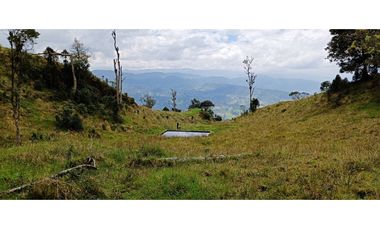 Vendo Finca San Raimundo