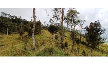 Vendo Finca San Raimundo