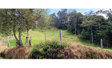 Vendo Finca San Raimundo