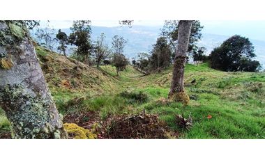 Vendo Finca San Raimundo