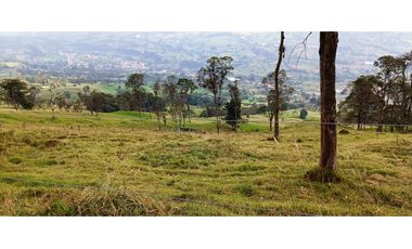 Vendo Finca San Raimundo