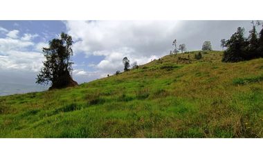 Vendo Finca San Raimundo