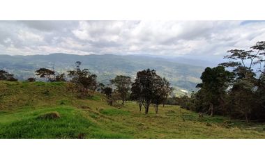 Vendo Finca San Raimundo