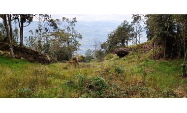 Vendo Finca San Raimundo