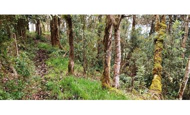 Vendo Finca San Raimundo