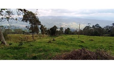 Vendo Finca San Raimundo