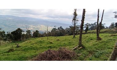Vendo Finca San Raimundo
