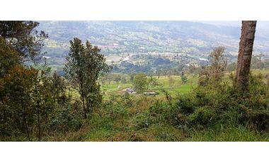 Vendo Finca San Raimundo