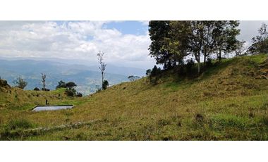 Vendo Finca San Raimundo