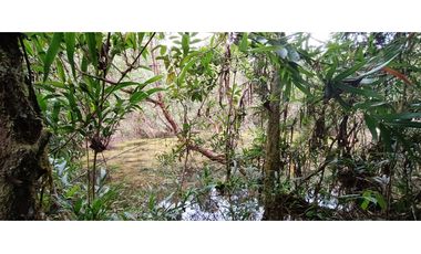 Vendo Finca San Raimundo