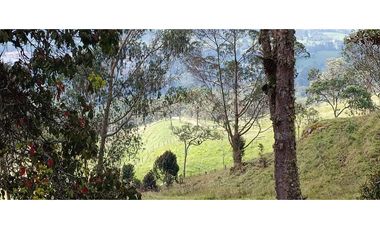 Vendo Finca San Raimundo