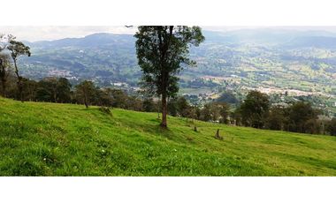 Vendo Finca San Raimundo