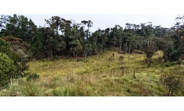 Vendo Finca San Raimundo