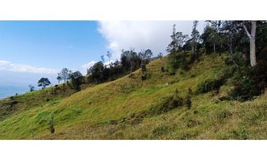 Vendo Finca San Raimundo