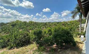 Se Vende Finca Campestre En Cerritos Pereira