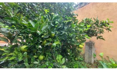 VENTA DE FINCA EN ANOLAIMA CUNDINAMARCA CASA CON LICENCIA