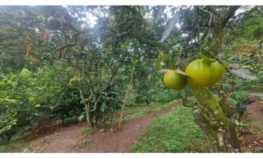 VENTA DE FINCA EN ANOLAIMA CUNDINAMARCA CASA CON LICENCIA