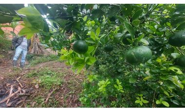 VENTA DE FINCA EN ANOLAIMA CUNDINAMARCA CASA CON LICENCIA