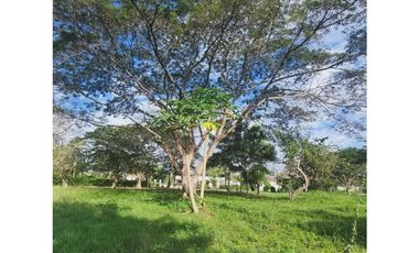 Vendo Lote cerca de Monteria  - Cordoba Urb Cerrada