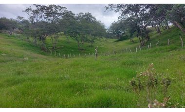 VENTA O PERMUTA DE FINCA EN JESUS MARIA SANTANDER - 20 HECTAREAS