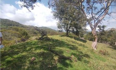 VENTA O PERMUTA DE FINCA EN JESUS MARIA SANTANDER - 20 HECTAREAS