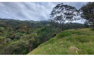 VENTA O PERMUTA DE FINCA EN JESUS MARIA SANTANDER - 20 HECTAREAS