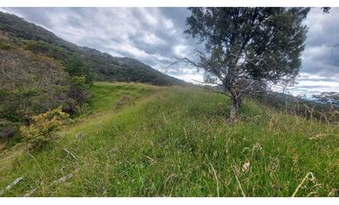 VENTA O PERMUTA DE FINCA EN JESUS MARIA SANTANDER - 20 HECTAREAS