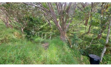 VENTA O PERMUTA DE FINCA EN JESUS MARIA SANTANDER - 20 HECTAREAS