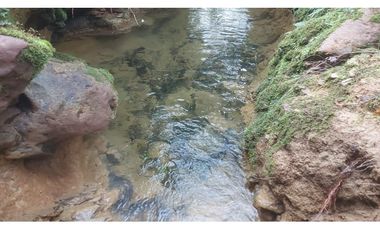 VENTA O PERMUTA DE FINCA EN JESUS MARIA SANTANDER - 20 HECTAREAS