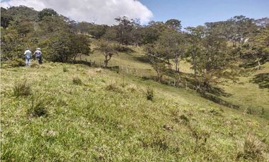 VENTA O PERMUTA DE FINCA EN JESUS MARIA SANTANDER - 20 HECTAREAS