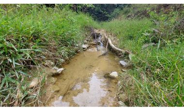 VENTA O PERMUTA DE FINCA EN JESUS MARIA SANTANDER - 20 HECTAREAS