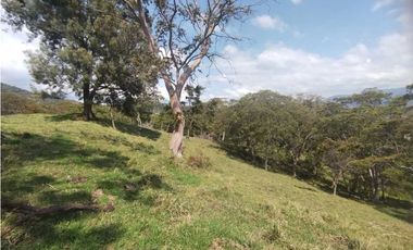 VENTA O PERMUTA DE FINCA EN JESUS MARIA SANTANDER - 20 HECTAREAS