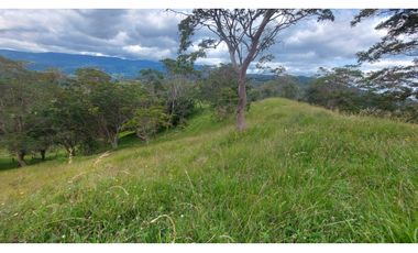 VENTA O PERMUTA DE FINCA EN JESUS MARIA SANTANDER - 20 HECTAREAS