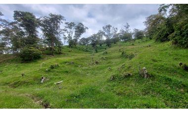 VENTA O PERMUTA DE FINCA EN JESUS MARIA SANTANDER - 20 HECTAREAS