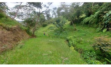 VENTA O PERMUTA DE FINCA EN JESUS MARIA SANTANDER - 20 HECTAREAS