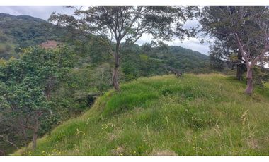 VENTA O PERMUTA DE FINCA EN JESUS MARIA SANTANDER - 20 HECTAREAS