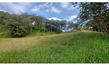 VENTA O PERMUTA DE FINCA EN JESUS MARIA SANTANDER - 20 HECTAREAS