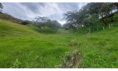 VENTA O PERMUTA DE FINCA EN JESUS MARIA SANTANDER - 20 HECTAREAS