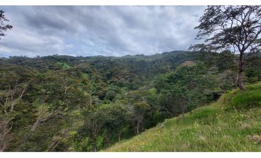 VENTA O PERMUTA DE FINCA EN JESUS MARIA SANTANDER - 20 HECTAREAS