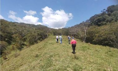 VENTA O PERMUTA DE FINCA EN JESUS MARIA SANTANDER - 20 HECTAREAS