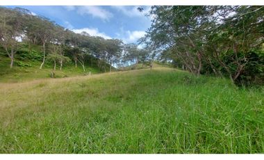 VENTA O PERMUTA DE FINCA EN JESUS MARIA SANTANDER - 20 HECTAREAS