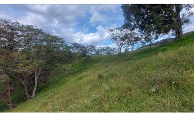 VENTA O PERMUTA DE FINCA EN JESUS MARIA SANTANDER - 20 HECTAREAS