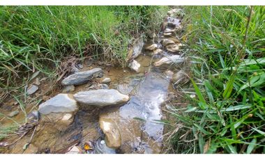 VENTA O PERMUTA DE FINCA EN JESUS MARIA SANTANDER - 20 HECTAREAS