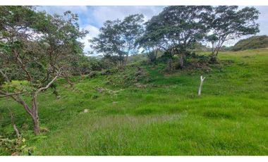 VENTA O PERMUTA DE FINCA EN JESUS MARIA SANTANDER - 20 HECTAREAS