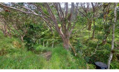 VENTA O PERMUTA DE FINCA EN JESUS MARIA SANTANDER - 20 HECTAREAS