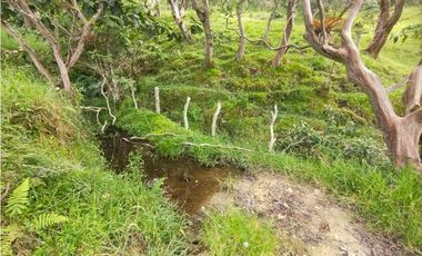 VENTA O PERMUTA DE FINCA EN JESUS MARIA SANTANDER - 20 HECTAREAS